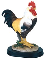 View Rooster-White
