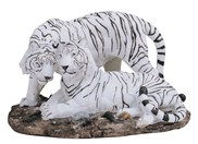 View White Tiger Couple