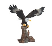View Eagle -Landing