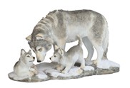 View Wolf with Cub