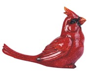 View Cardinal