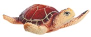 View Brown Sea Turtle Brown Small