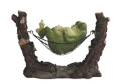 View Frog Relaxing on Hammock