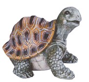 View Turtle
