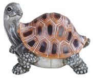 View Turtle