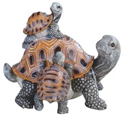 View Turtle Family