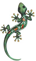 View Green Lizard