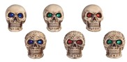 View Mini Skull, 6 pc Set