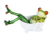 View Frog in Bath Tub