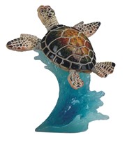 View Green Sea Turtle