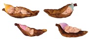 View Baby Fairy wrap in Leaf 4pc Set