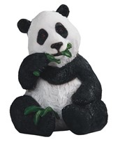 View Panda with Bamboo