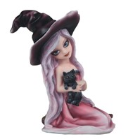 View Pink Witch Girl with Cat