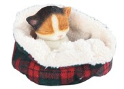 View Cat in Woven Blanket