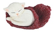 View Cat sleeping in Blanket