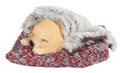 View Dog on Woven Pillow
