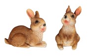 View Mini Rabbit Set