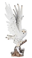 View Large-scale Snowy Owl Wings Up