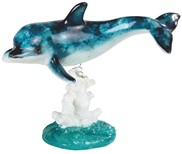 View Dolphin on Coral