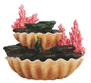 View Display for Mermaids -Sea Shell