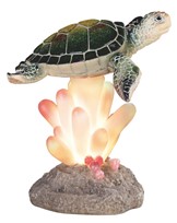 View Sea Turtle on Coral with LED