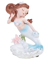 View Mermaid with Fish