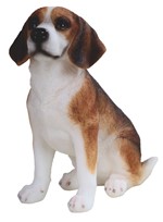 View Dog/Beagle Sitting