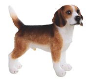 View Dog/Beagle