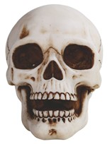 View Skull