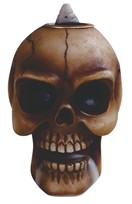 View Backflow-Skull