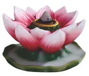 View Backflow-Lotus