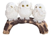 View Owl on Brench