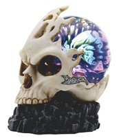 View Skull on LED Glass Globe