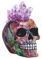View LED Skull Rainbow Punk