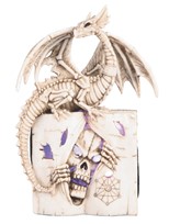 View LED Dragon on Skull Book