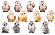 View Mini Owl, 12 pc Set