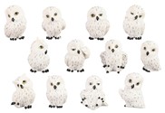 View Mini Snowy Owl, 12 pc Set