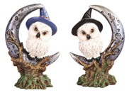 View Owl on Moon Set
