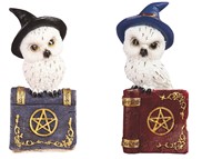 View Owl on Book Set