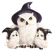 View Owl Family