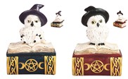 View Owl on Book Trinket Box Set