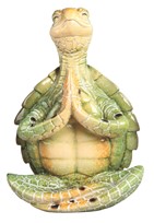 View Green Sea Turtle of Yoga Lotus Pose
