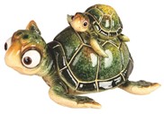 View Green Sea Turtle with Baby