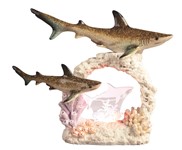 View Shark with Baby