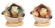 View Sea Turtle Egg 2pc Set
