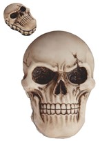View Skull Trinket Box