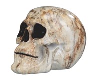 View Skull