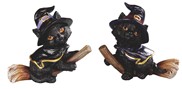 View Cat fly on broom set