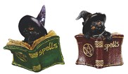 View Cat reading set
