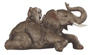 View Elephant with cub
